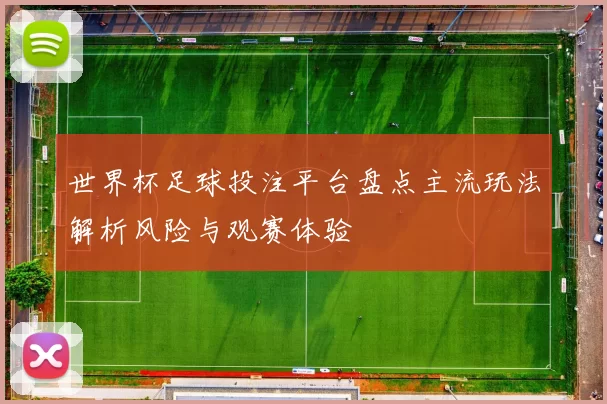 世界杯足球投注平台盘点主流玩法解析风险与观赛体验