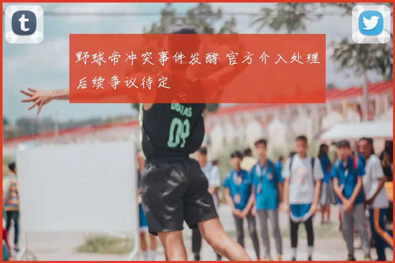 野球帝冲突事件发酵 官方介入处理后续争议待定