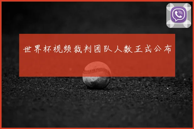 世界杯视频裁判团队人数正式公布
