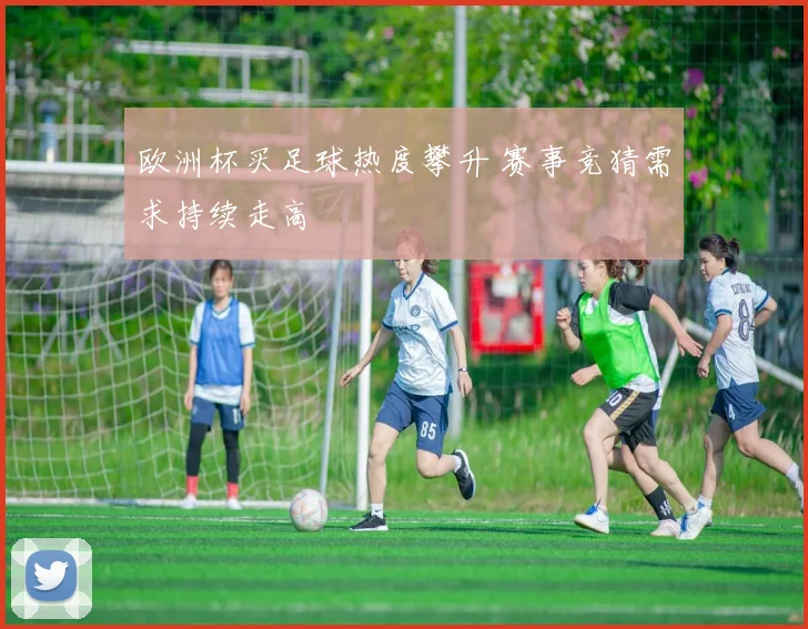 欧洲杯买足球热度攀升 赛事竞猜需求持续走高
